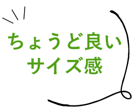 ちょうど良いサイズ感