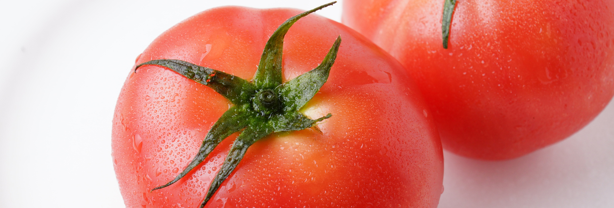 トマトはどんな野菜？ 特徴や保存方法を知って料理に活用しよう