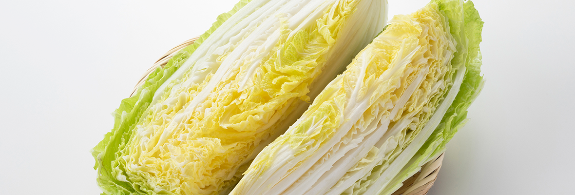 白菜は冷凍保存しておくのがおすすめ！ 冷凍方法と使い方のポイント
