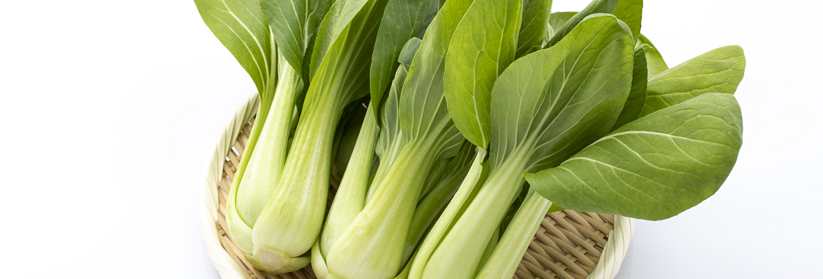 中華料理の定番！ チンゲン菜（青梗菜）ってどんな野菜？