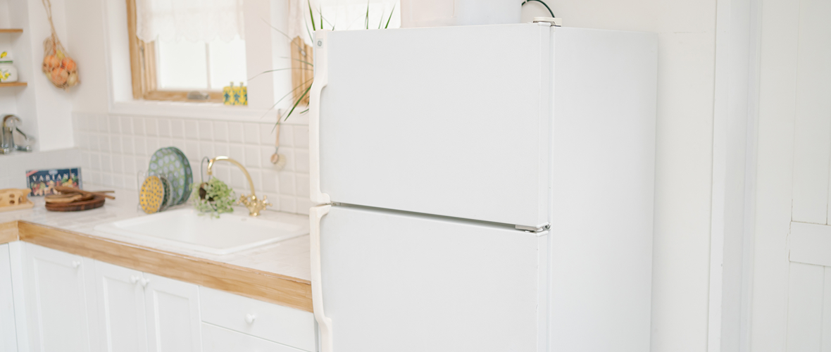 冷蔵庫や冷凍庫で保存できる？